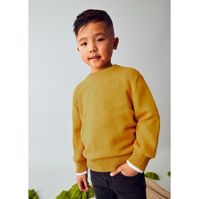 Ζέρσευ στρ. γιακάς βασικό - ΜΟΥΣΤΑΡΔΙ 4Y