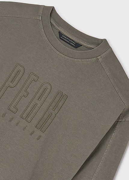 Μπλούζα μακρυμάνικη απλικέ κέντημα - ΓΚΡΙ 12Y