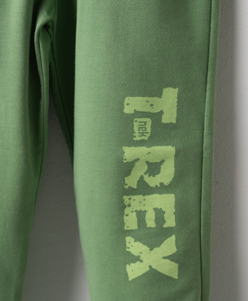 Σετ φόρμα ανοιξιάτικη - ΠΡΑΣΙΝΟ 1Y